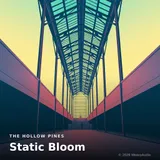 Static Bloom by The Hollow Pines — Lo-fi / Chillhop (jazz-hop) Dreamy cover art on WeavyAudio