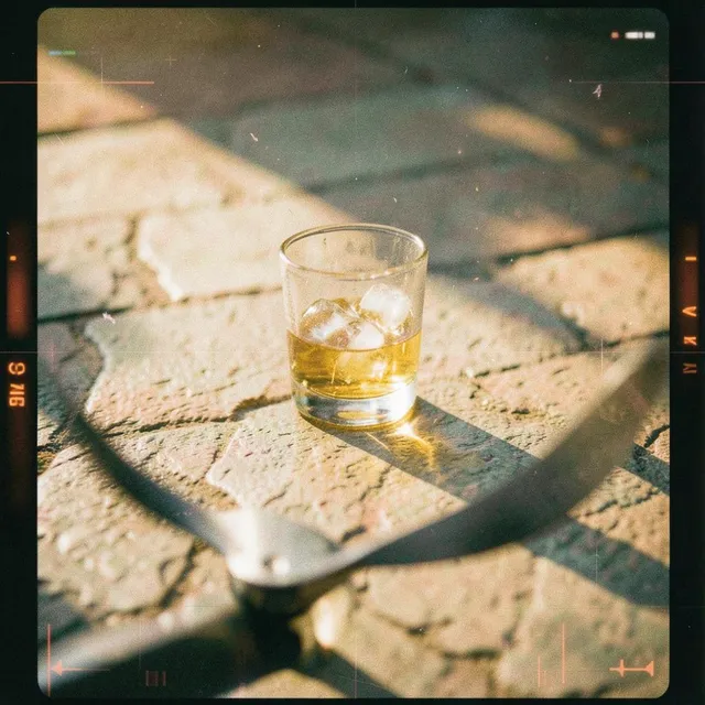 Feel it in the bone 2 – DJ Solano, okładka