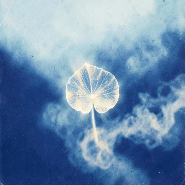 Lost in the Haze of You 2 – Cascade & Bloom, okładka