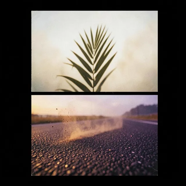 Pulse in the Haze 2 by Kofi & Maren — Pop Energetic cover art on WeavyAudio