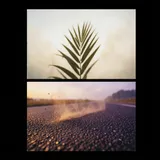 Pulse in the Haze 2 by Kofi & Maren — Pop Energetic cover art on WeavyAudio