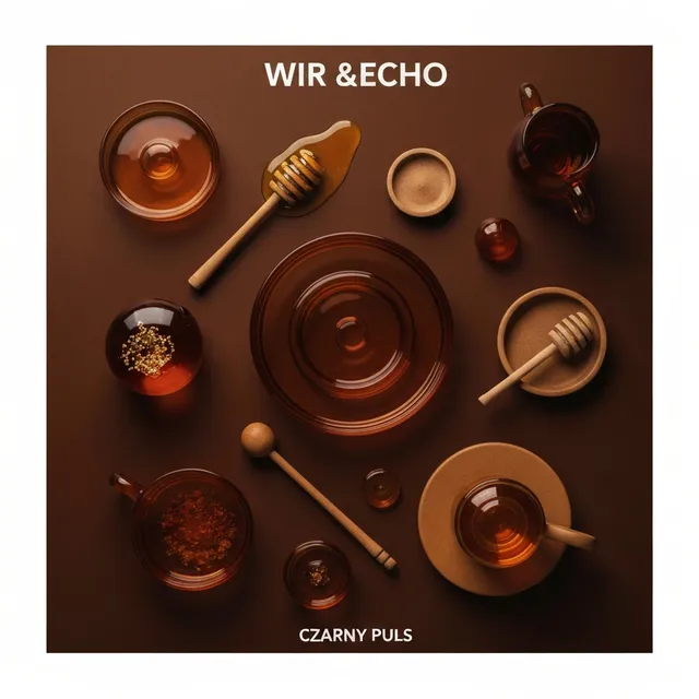 Czarny Puls – Wir &Echo, okładka