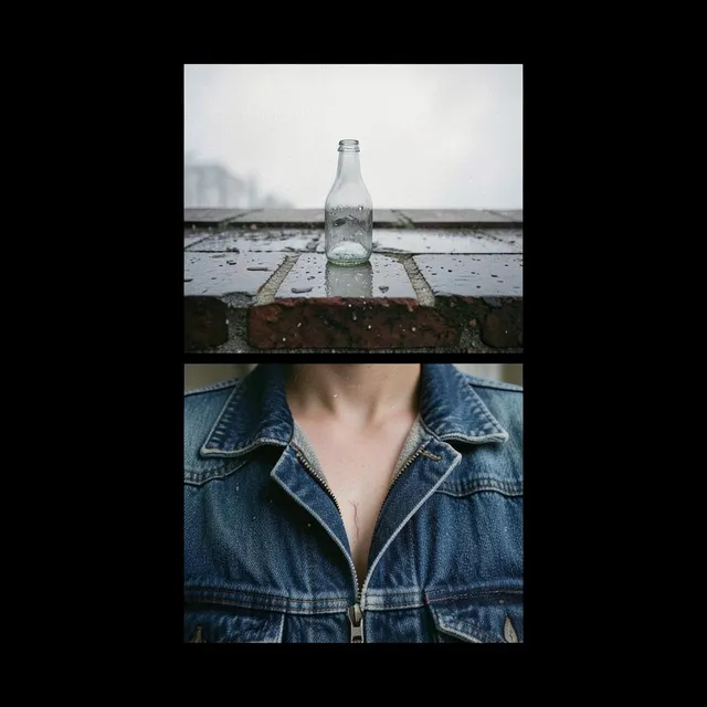 Scars Don't Split the Profit – Lil Ferro, okładka