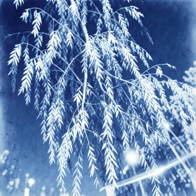 Pulse Overdrive 3 – Silver Willow, okładka