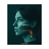Past the Skyline by Lunar Bloom — cover art on WeavyAudio