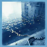 Gold on the Water by Horizon & Bloom — Pop Energetic cover art on WeavyAudio