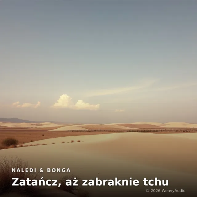 Zatańcz, aż zabraknie tchu – Naledi & Bonga, okładka