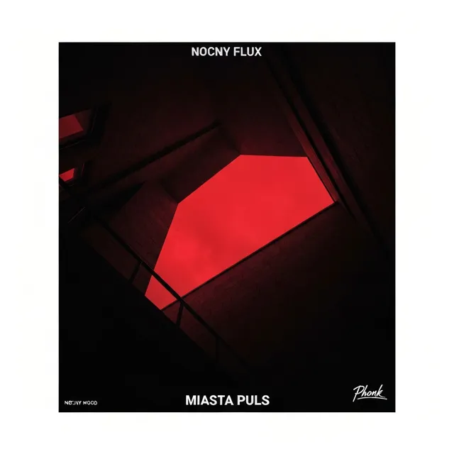 Miasta Puls – Nocny Flux, okładka