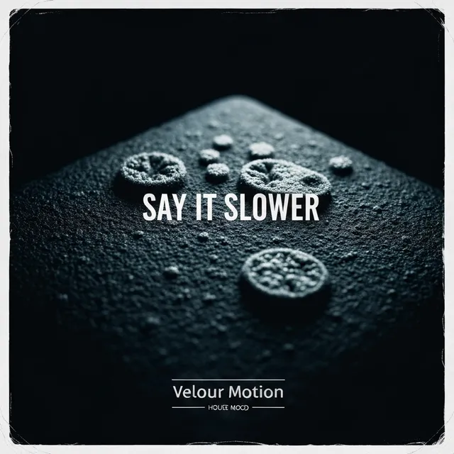 Say It Slower – Velour Motion, okładka