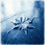 Maple Leaves on Ice 2 by The Hollow Pines — Asian Jazz Lounge Mellow cover art on WeavyAudio