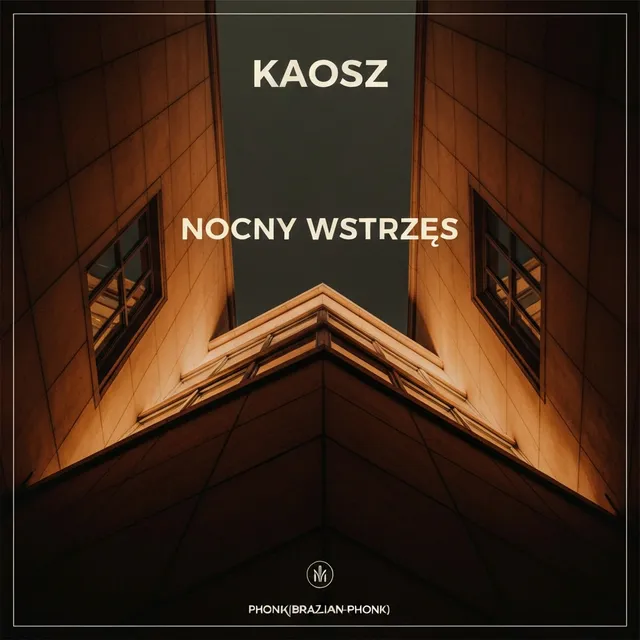 Nocny Wstrząs – Kaosz, okładka