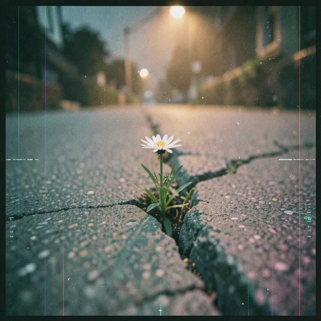 Familiar silence that never goes unchecked 2 – DJ Malvado, okładka