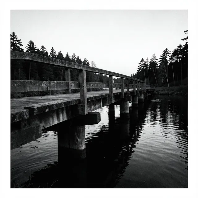 Bridges Burn Amber Gold 2 by The Hollow Pines — Nu-Jazz Mellow cover art on WeavyAudio