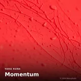 Momentum by Yara Rune — Indie Energetic cover art on WeavyAudio