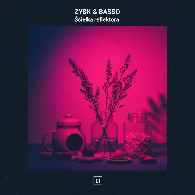 Ścieżka reflektora – Zysk & Basso, okładka