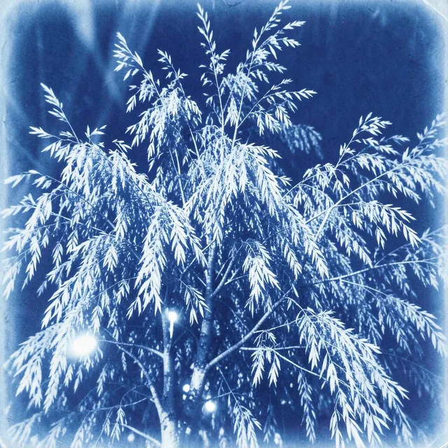Pulse Overdrive 2 – Silver Willow, okładka