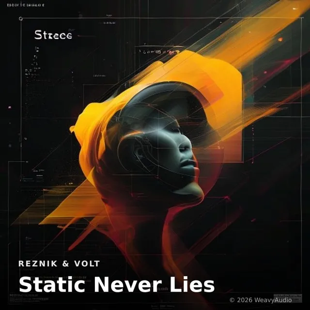 Static Never Lies – Reznik & Volt, okładka
