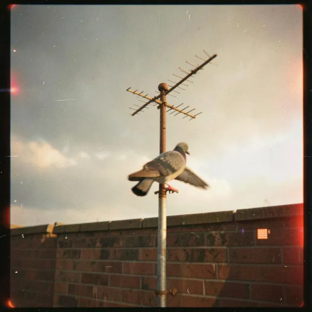 Rooftop Radio 2 2 – Halden Rivers, okładka