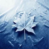 Maple Leaves on Ice by The Hollow Pines — Asian Jazz Lounge Mellow cover art on WeavyAudio