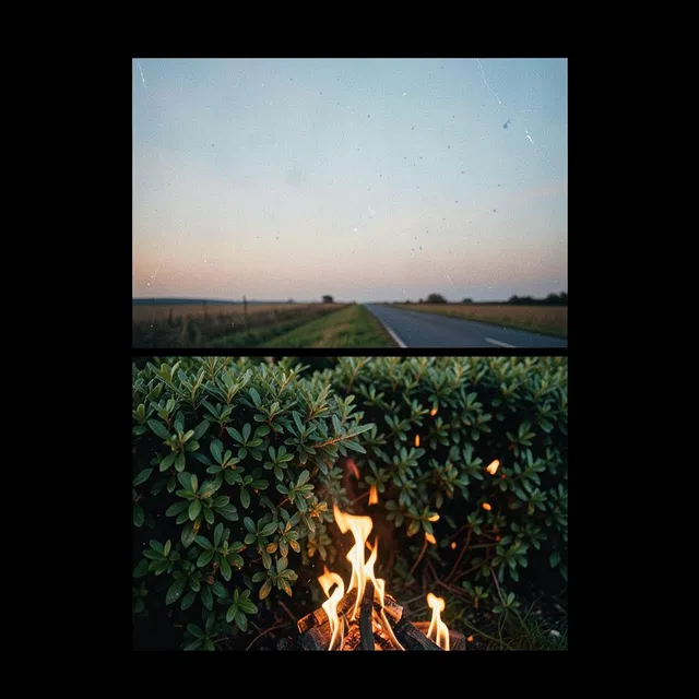 Fires in the Hedges 2 – Nova & Fenwick, okładka