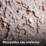 Wszystko się zmienia by Kaya & Vex — Hip-Hop (melodic-rap) Melancholic cover art on WeavyAudio