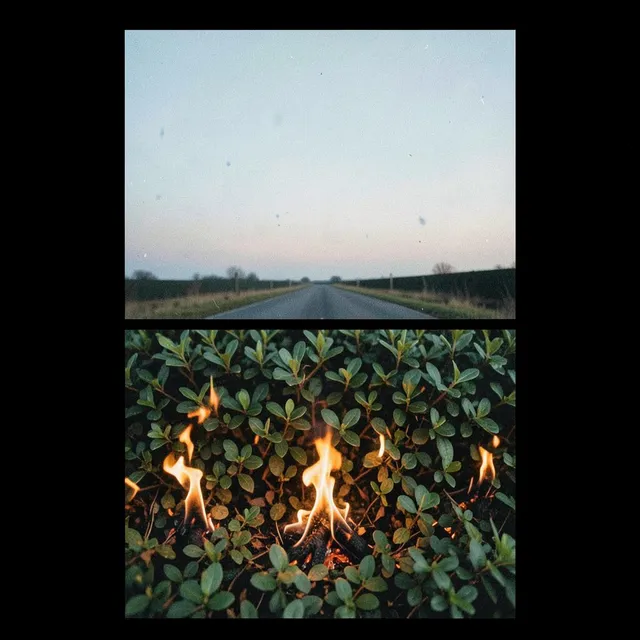 Fires in the Hedges – Nova & Fenwick, okładka