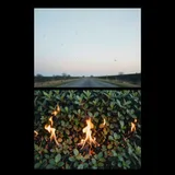 Fires in the Hedges by Nova & Fenwick — Pop Upbeat cover art on WeavyAudio