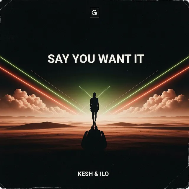 Say You Want It – Kesh & Ilo, okładka