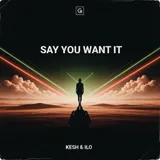 Say You Want It by Kesh & Ilo — House Romantic cover art on WeavyAudio