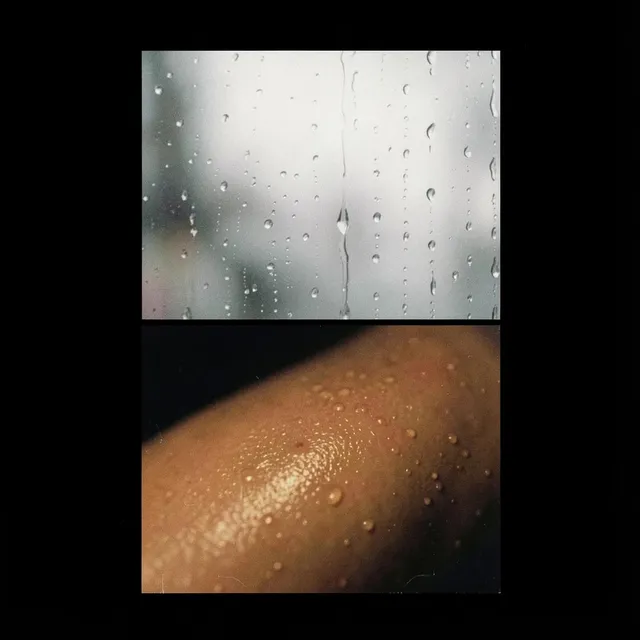 Warm Skin, Low Light 3 – Nova Mzansi, okładka