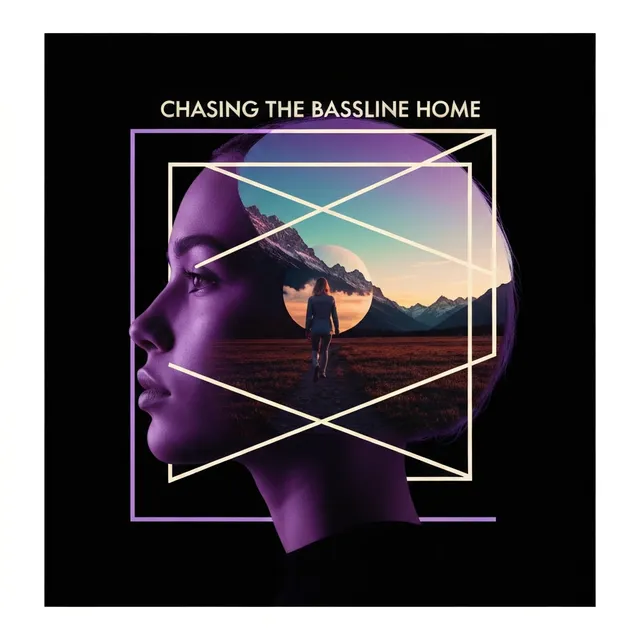 Chasing the Bassline Home – Larkspur Motion, okładka