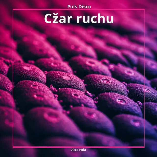 Czar ruchu – Puls Disco, okładka