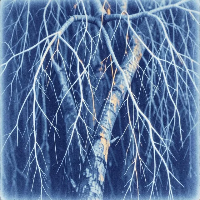 Electric Current 2 – Golden Willow, okładka