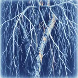 Electric Current 2 by Golden Willow — Drum & Bass Mellow cover art on WeavyAudio