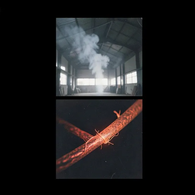 Wildfire, skin to skin 2 – DJ Rustbelt, okładka