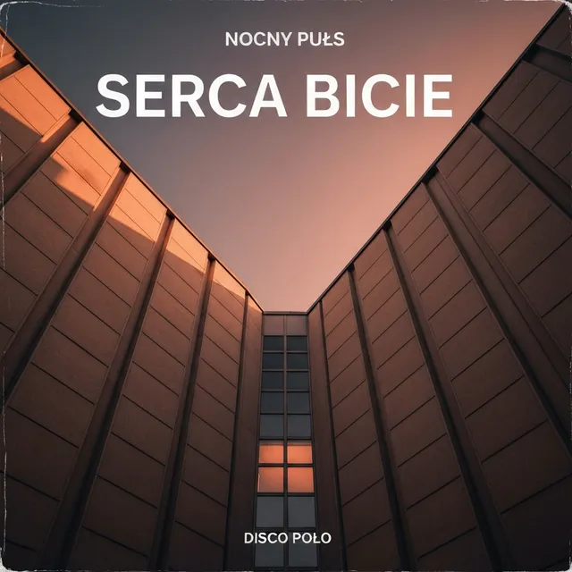 Serca Bicie – Nocny Puls, okładka