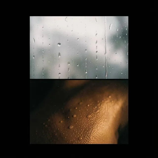 Warm Skin, Low Light 2 – Nova Mzansi, okładka