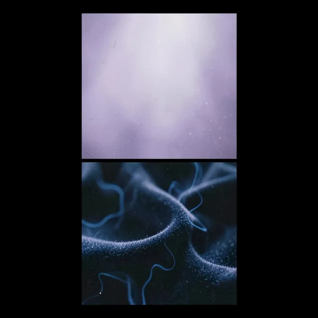 Velvet Static – Aurelune, okładka