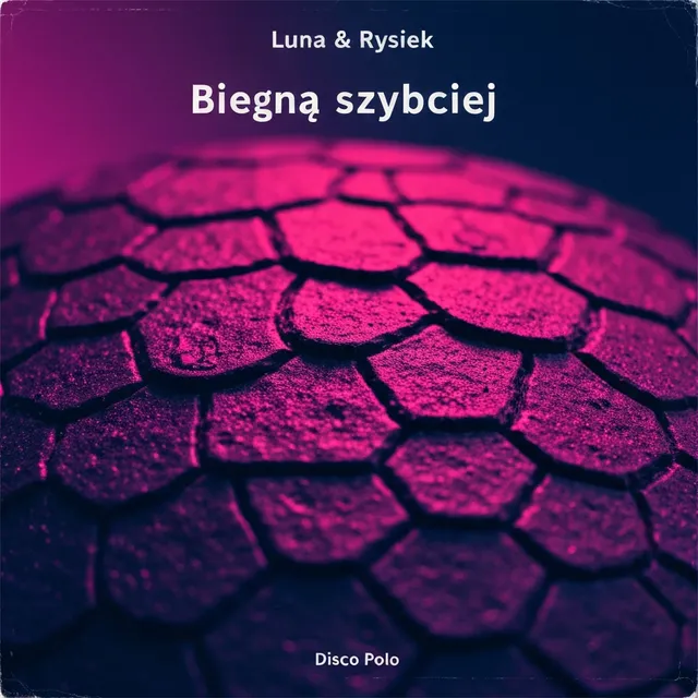 Biegnę szybciej – Luna & Rysiek, okładka