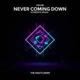 Never Coming Down by The Nightliners — House Dreamy cover art on WeavyAudio