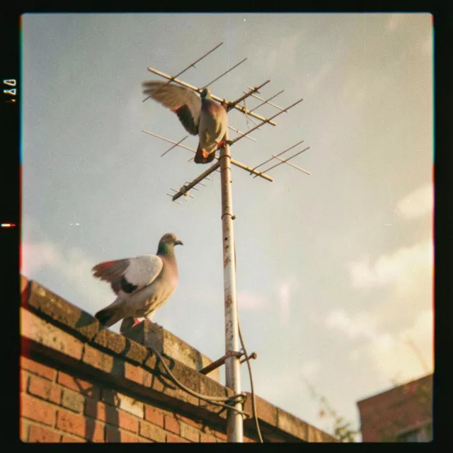 Rooftop Radio 2 – Halden Rivers, okładka