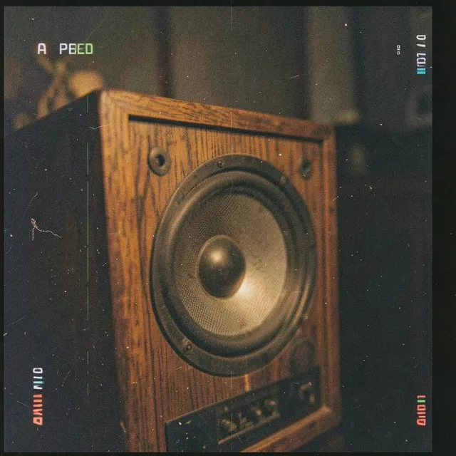 Skin On The Speaker 2 – Basslight, okładka