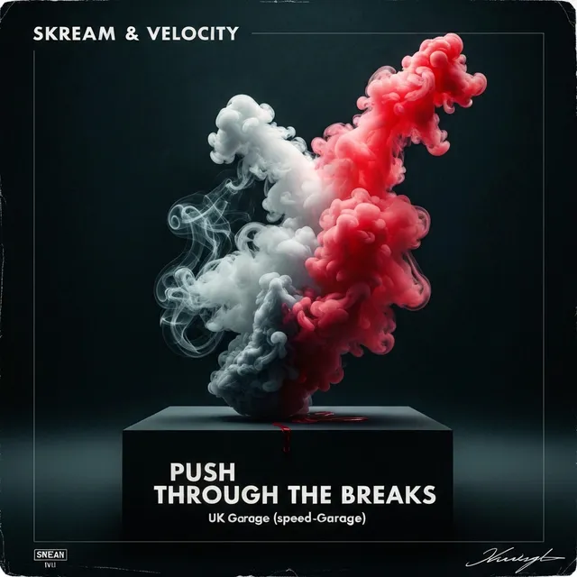Push Through the Breaks – Skream & Velocity, okładka