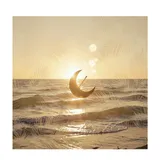 Sunlit Rhythm Drift by Kaya Meridian — House Mellow cover art on WeavyAudio