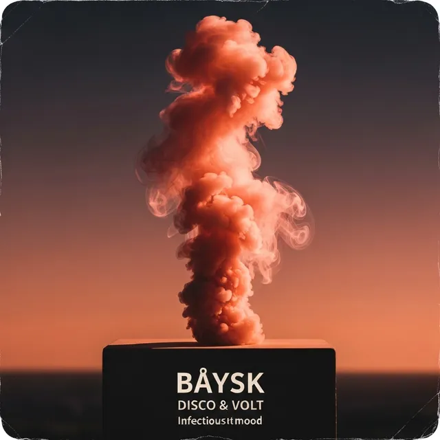 Błysk – Syn & Volt, okładka