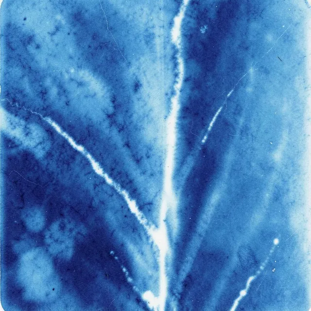 Cascade Wildfire 3 – Skream & Velocity, okładka