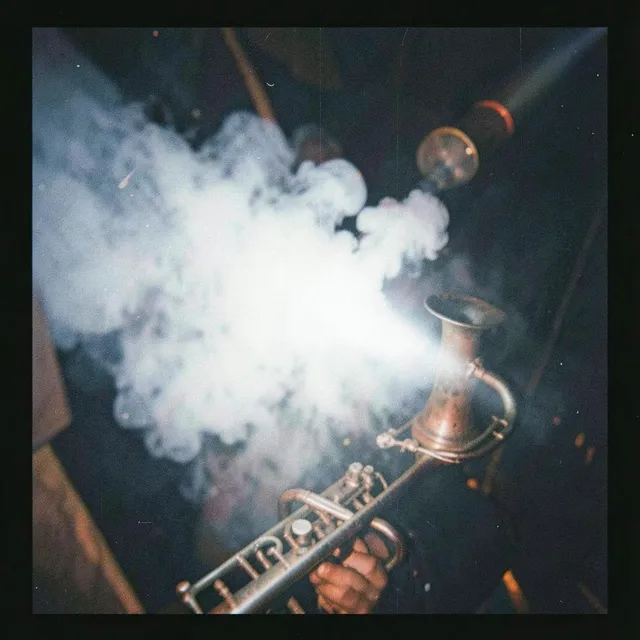 Organ In My Blindspot – Lil Syndicate, okładka