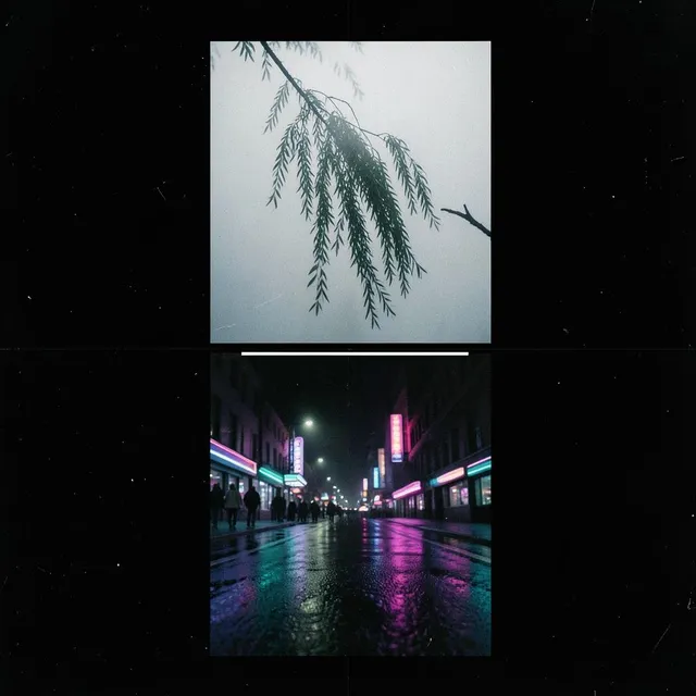 Willow Momentum 2 – Velvet Sub, okładka