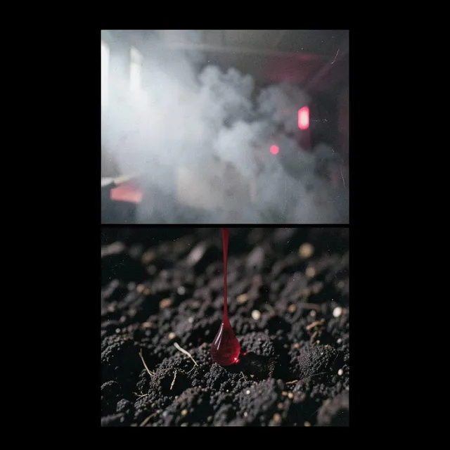 Krew pod paznokciami 3 – Blask & Smog, okładka