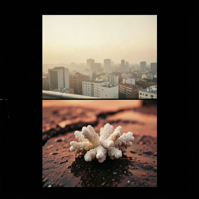 Bleeding Coral 2 by The Lagos Sons — House Mellow cover art on WeavyAudio